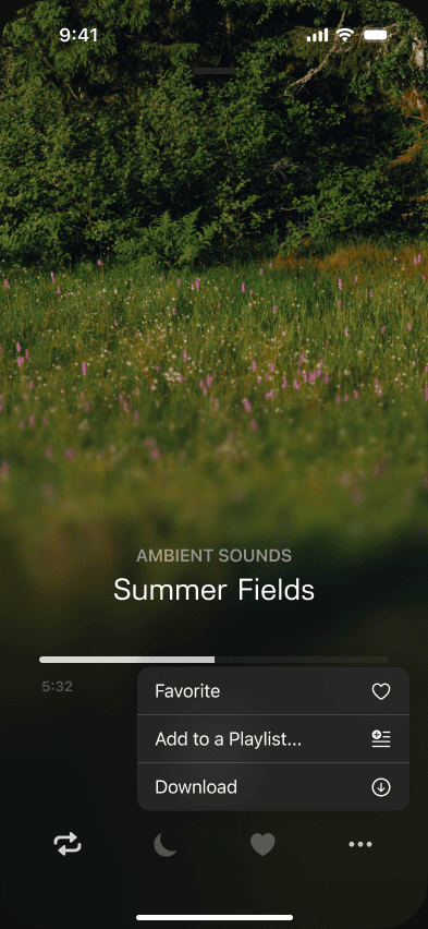 Sample Snoozeband player menu with favourite, playlist, and download actions