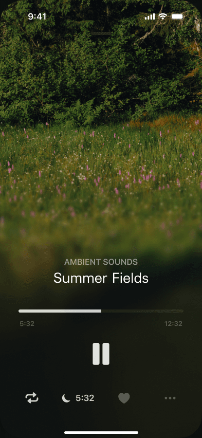 Sample Snoozeband player with landscape artwork and playback controls