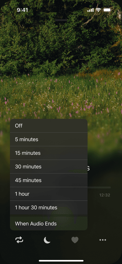Sample Snoozeband sleep timer menu